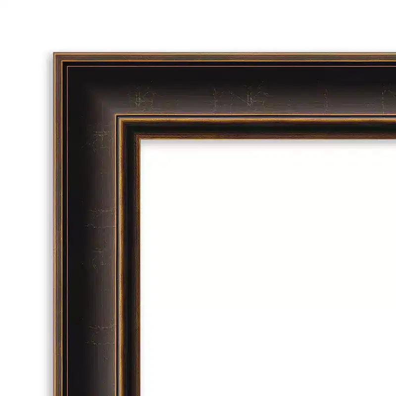 Specchio da porta in legno Villa non smussato 20"x54" bronzo anticato