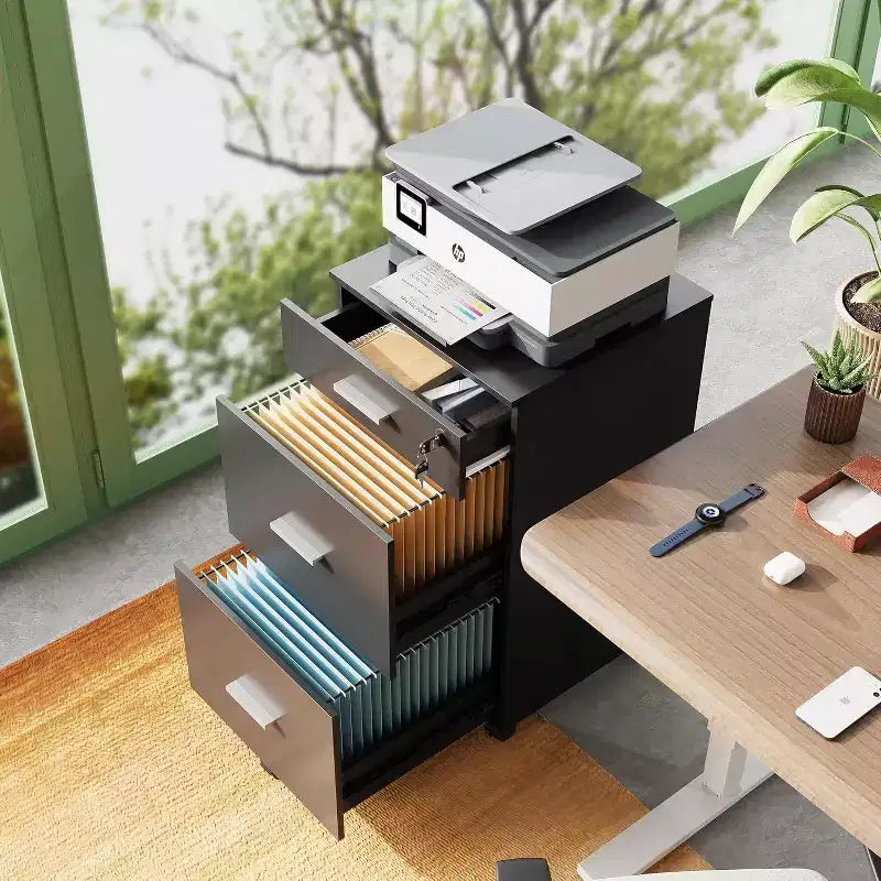 DEXYLLO Cassettiera con rotelle a 3 cassetti con serratura, classificatore in legno adatto per formato Letter/A4 per ufficio domestico