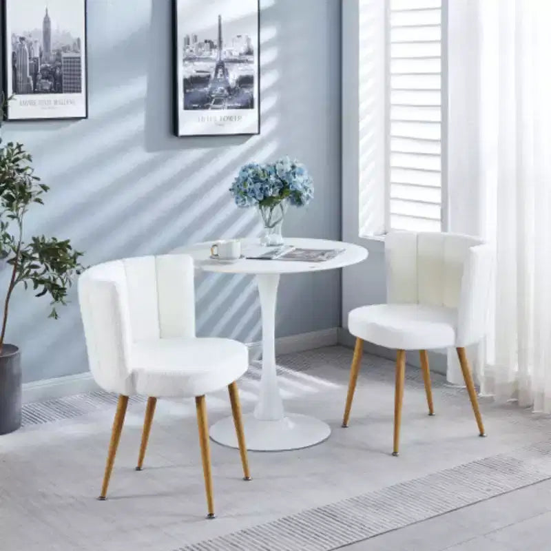 Versatile 2-Pack Iron-Legged Dining Chairs with Cushioned Seats for Any Room