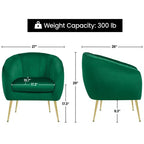 Yaheetech Set di 2 Poltrone Accent con Trapuntatura a Canali e Gambe in Metallo Dorato per Soggiorno