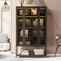 LED Display Cabinet with Glass Doors, Steel Curio Cabinet Storage Cabinet with Adjustable Shelves Accent Cabinet Pantry Organizer, Black-ModernLuxe