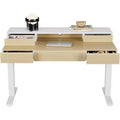 Standing Desk with Drawers, 48 Inches Electric Height Adjustable Desk with Storage, Whole Piece Board Sit Stand Up Desk with Monitor Shelf