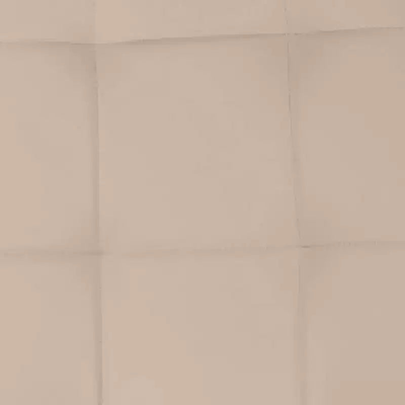 Brassex Set di 2 sedie da pranzo Mario beige