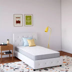 Signature Sleep Hush Materasso a molle insacchettate indipendenti, 8 pollici