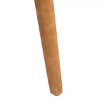 Poltrona accent Delfino - ACH4009 - Safavieh