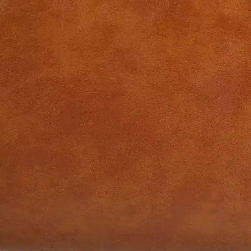 Poltrona accent Delfino - ACH4009 - Safavieh
