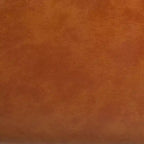 Poltrona accent Delfino - ACH4009 - Safavieh
