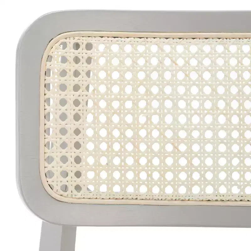 Sedia da pranzo Luz in canna (Set di 2) - DCH1006 - Safavieh
