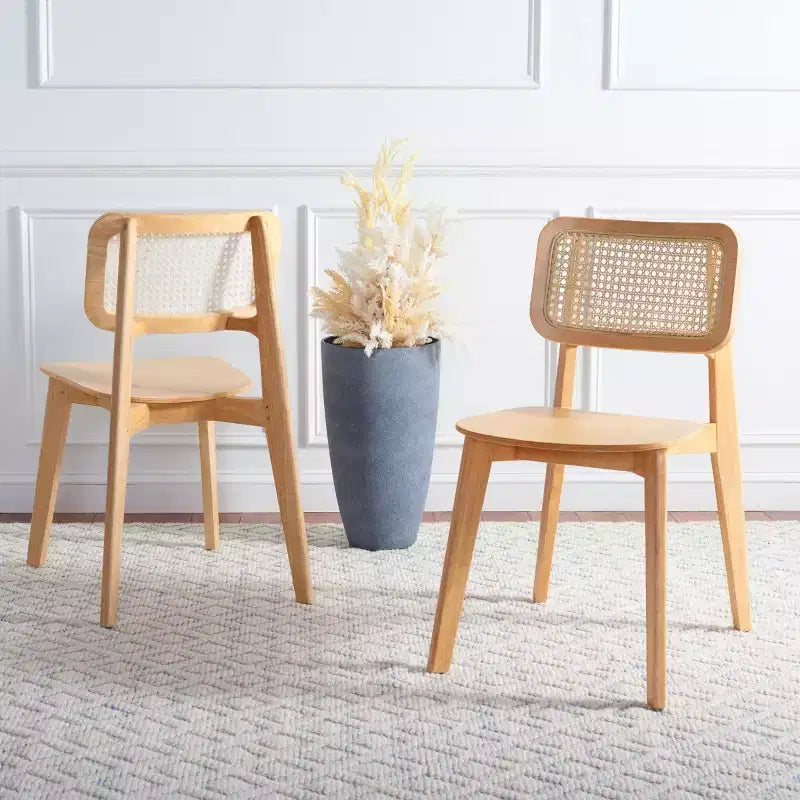 Sedia da pranzo Luz in canna (Set di 2) - DCH1006 - Safavieh