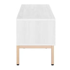 Mobile porta TV Lylia a 1 anta - MED9617 - Safavieh